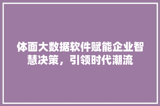 体面大数据软件赋能企业智慧决策，引领时代潮流