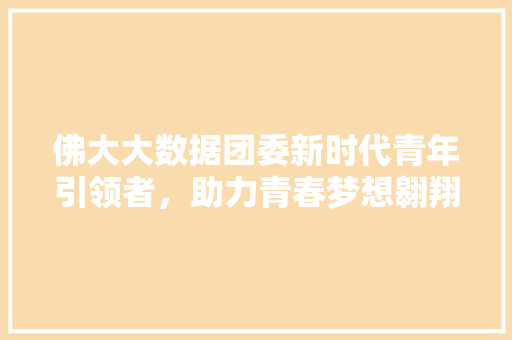 佛大大数据团委新时代青年引领者，助力青春梦想翱翔