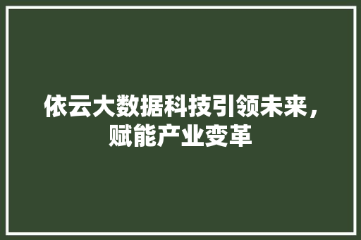 依云大数据科技引领未来，赋能产业变革