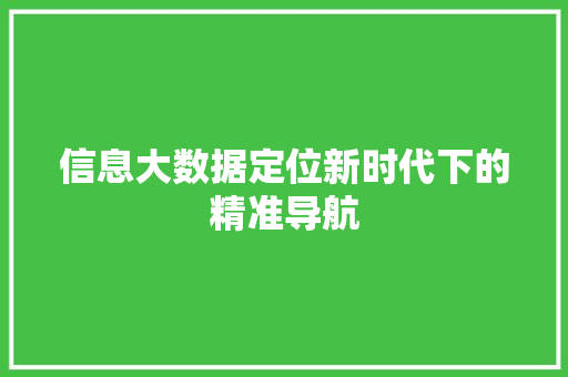 信息大数据定位新时代下的精准导航