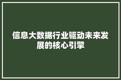 信息大数据行业驱动未来发展的核心引擎