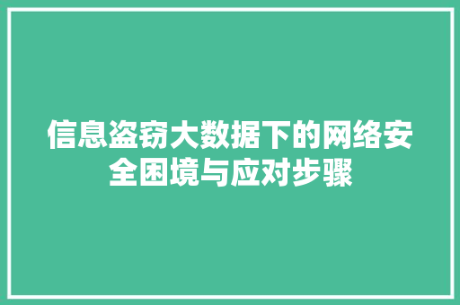 信息盗窃大数据下的网络安全困境与应对步骤