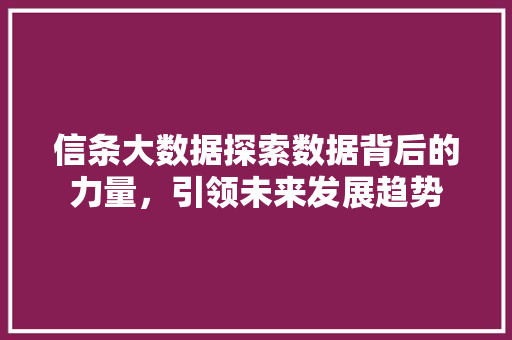 信条大数据探索数据背后的力量，引领未来发展趋势