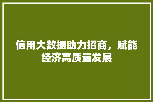 信用大数据助力招商，赋能经济高质量发展