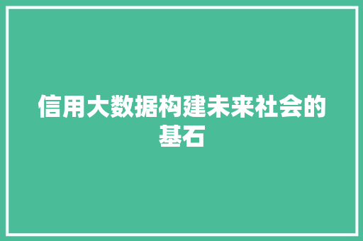 信用大数据构建未来社会的基石