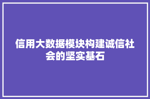 信用大数据模块构建诚信社会的坚实基石 建站教程