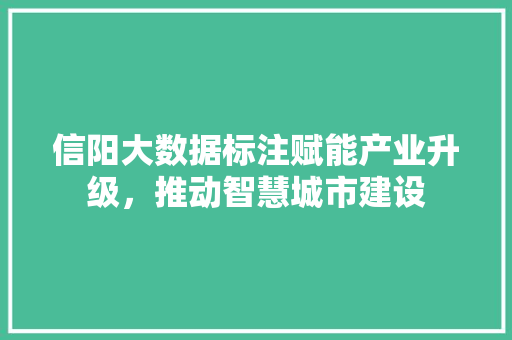 信阳大数据标注赋能产业升级，推动智慧城市建设