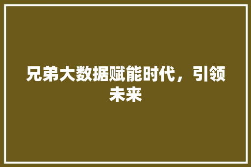 兄弟大数据赋能时代，引领未来