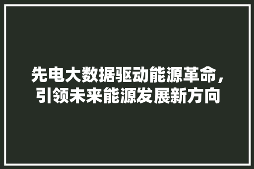 先电大数据驱动能源革命，引领未来能源发展新方向