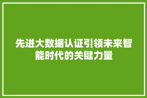 先进大数据认证引领未来智能时代的关键力量