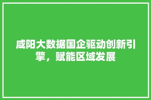 咸阳大数据国企驱动创新引擎，赋能区域发展