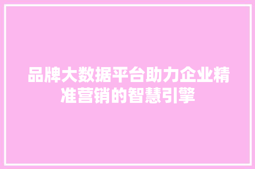 品牌大数据平台助力企业精准营销的智慧引擎