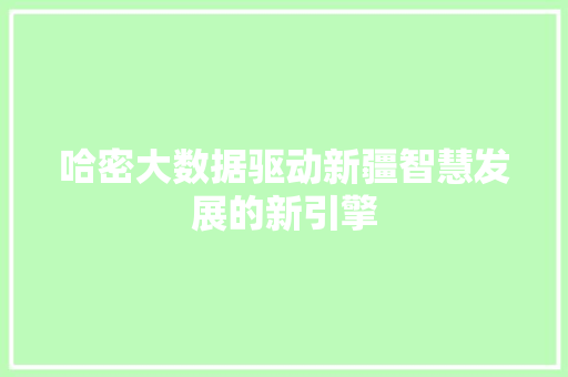 哈密大数据驱动新疆智慧发展的新引擎