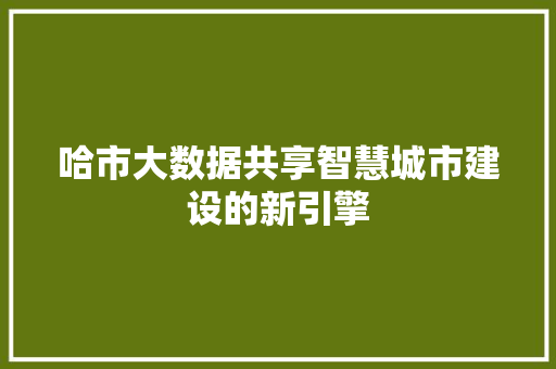 哈市大数据共享智慧城市建设的新引擎