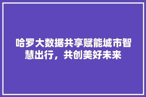 哈罗大数据共享赋能城市智慧出行，共创美好未来
