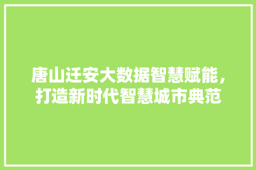 唐山迁安大数据智慧赋能，打造新时代智慧城市典范