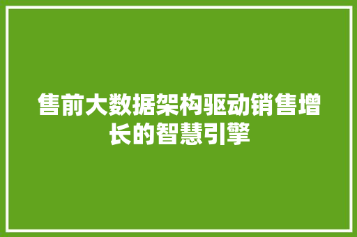 售前大数据架构驱动销售增长的智慧引擎