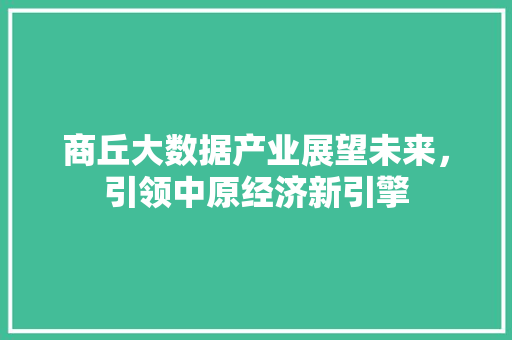 商丘大数据产业展望未来，引领中原经济新引擎