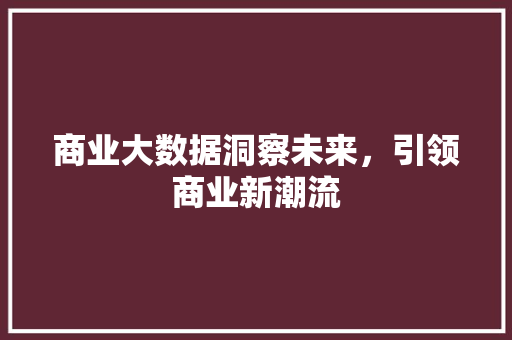 商业大数据洞察未来，引领商业新潮流