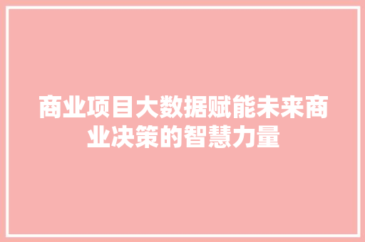 商业项目大数据赋能未来商业决策的智慧力量