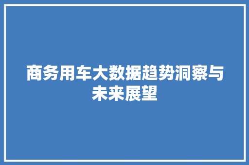 商务用车大数据趋势洞察与未来展望 Web前端 商务用车大数据趋势洞察与未来展望 Web前端
