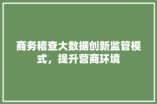 商务稽查大数据创新监管模式，提升营商环境 建站教程