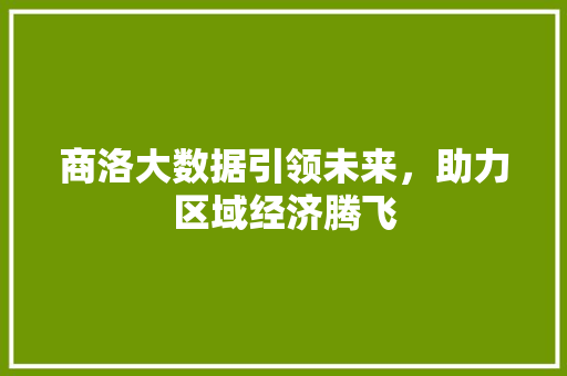商洛大数据引领未来，助力区域经济腾飞