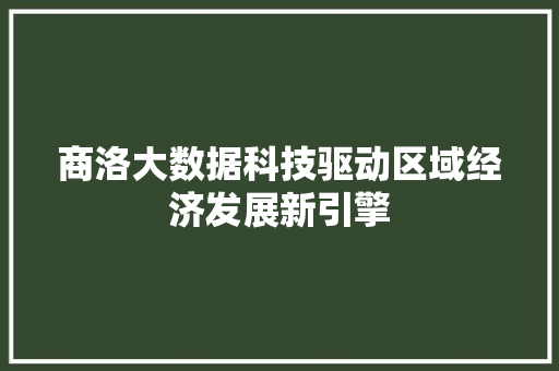 商洛大数据科技驱动区域经济发展新引擎