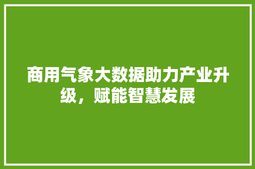 商用气象大数据助力产业升级，赋能智慧发展