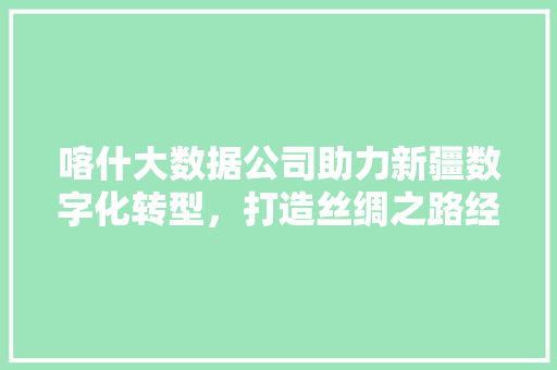 喀什大数据公司助力新疆数字化转型，打造丝绸之路经济带新引擎