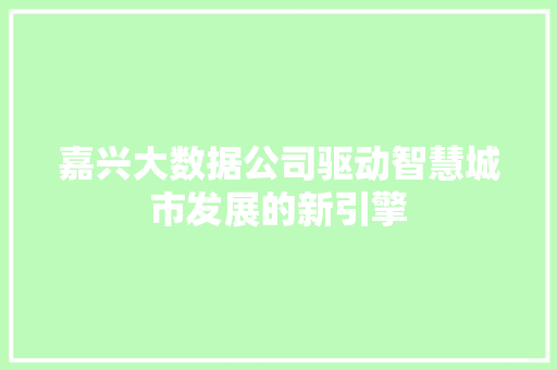嘉兴大数据公司驱动智慧城市发展的新引擎