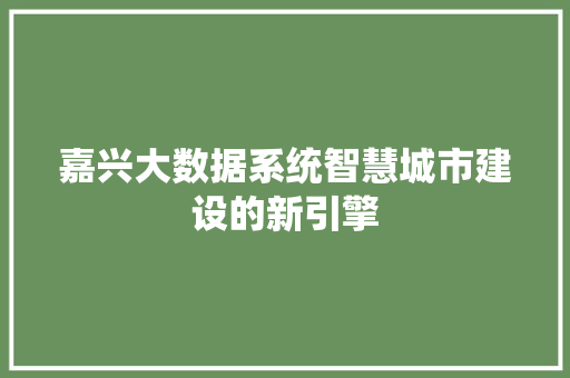 嘉兴大数据系统智慧城市建设的新引擎 友链在线