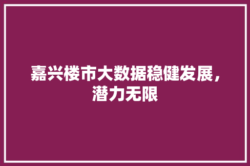 嘉兴楼市大数据稳健发展，潜力无限