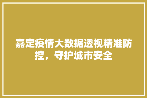 嘉定疫情大数据透视精准防控，守护城市安全 Web前端