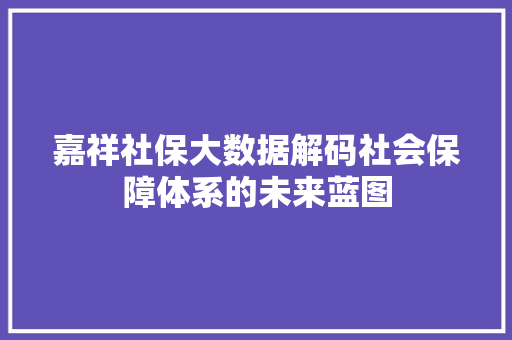 嘉祥社保大数据解码社会保障体系的未来蓝图