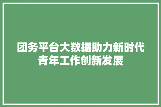团务平台大数据助力新时代青年工作创新发展