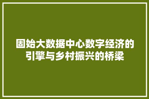 固始大数据中心数字经济的引擎与乡村振兴的桥梁