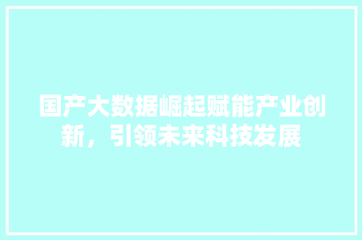 国产大数据崛起赋能产业创新，引领未来科技发展