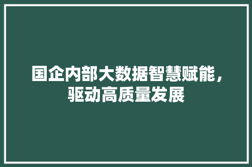 国企内部大数据智慧赋能，驱动高质量发展