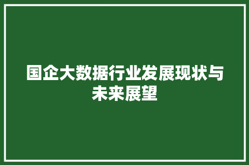 国企大数据行业发展现状与未来展望
