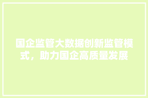 国企监管大数据创新监管模式，助力国企高质量发展