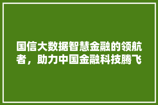 国信大数据智慧金融的领航者，助力中国金融科技腾飞 友链在线