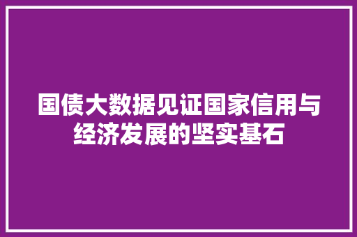 国债大数据见证国家信用与经济发展的坚实基石