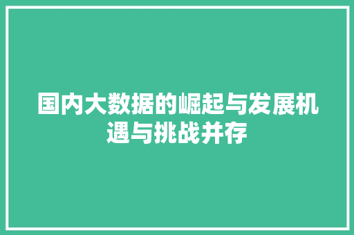 国内大数据的崛起与发展机遇与挑战并存