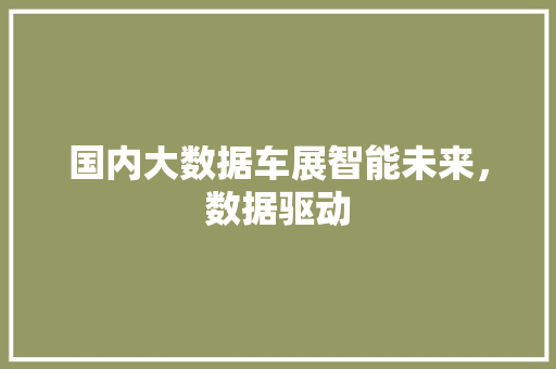 国内大数据车展智能未来，数据驱动