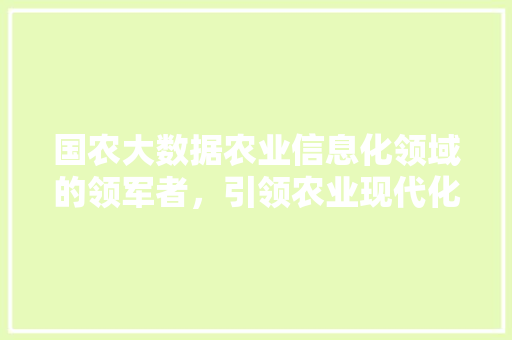 国农大数据农业信息化领域的领军者，引领农业现代化发展新篇章