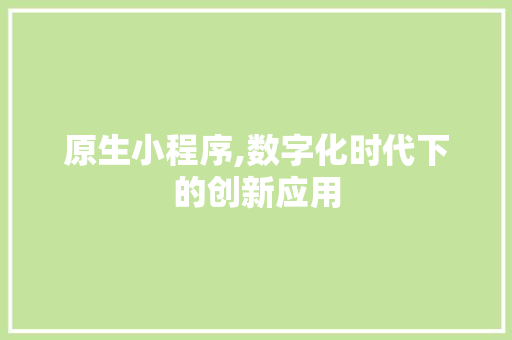 原生小程序,数字化时代下的创新应用 原生小程序,数字化时代下的创新应用 Web前端