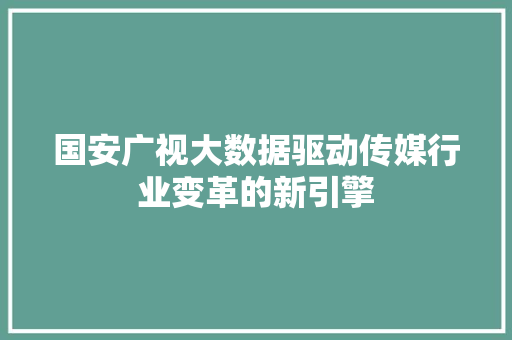 国安广视大数据驱动传媒行业变革的新引擎