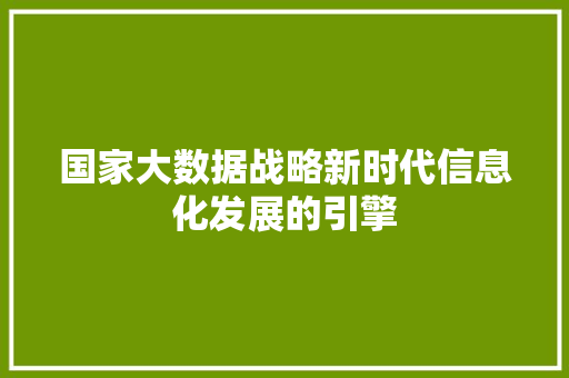 国家大数据战略新时代信息化发展的引擎