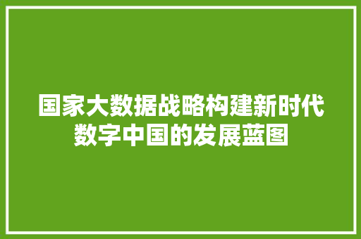 国家大数据战略构建新时代数字中国的发展蓝图